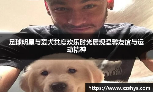 zoty中欧官方网站