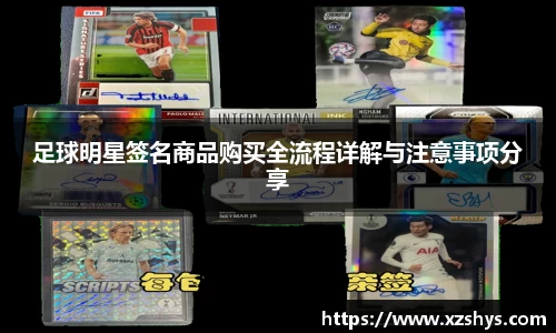 zoty中欧官网