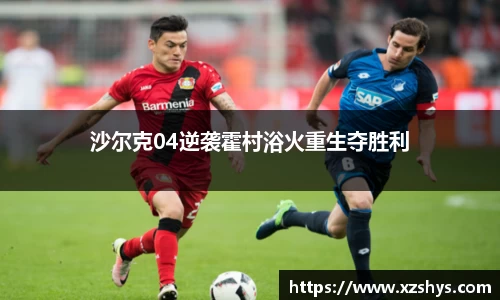 zoty中欧