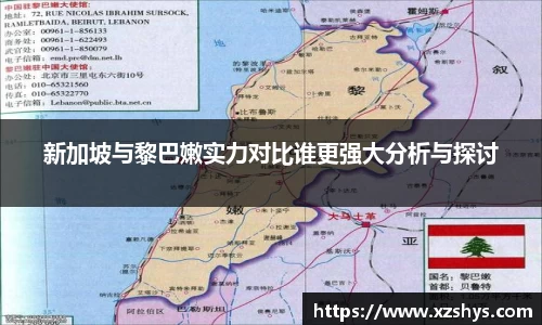 新加坡与黎巴嫩实力对比谁更强大分析与探讨