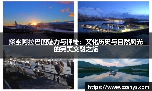 zoty中欧