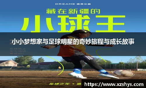 zoty中欧有限公司