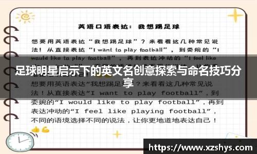 zoty中欧有限公司