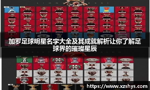 加罗足球明星名字大全及其成就解析让你了解足球界的璀璨星辰